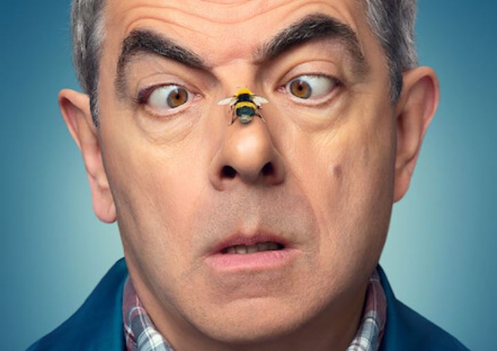 Seul face à l'abeille - Streamnews